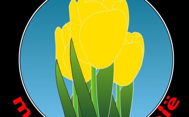 HoltensNieuws.nl Springfair in Dijkerhoek Springfair in Dijkerhoek dijkerhoek